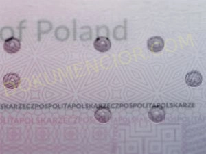 Zabezpieczenie w formie kropek Braille które posiada nasz dowód osobisty kolekcjonerski